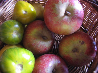 Journe de la pomme & des fruits oublis -- 25/10/08